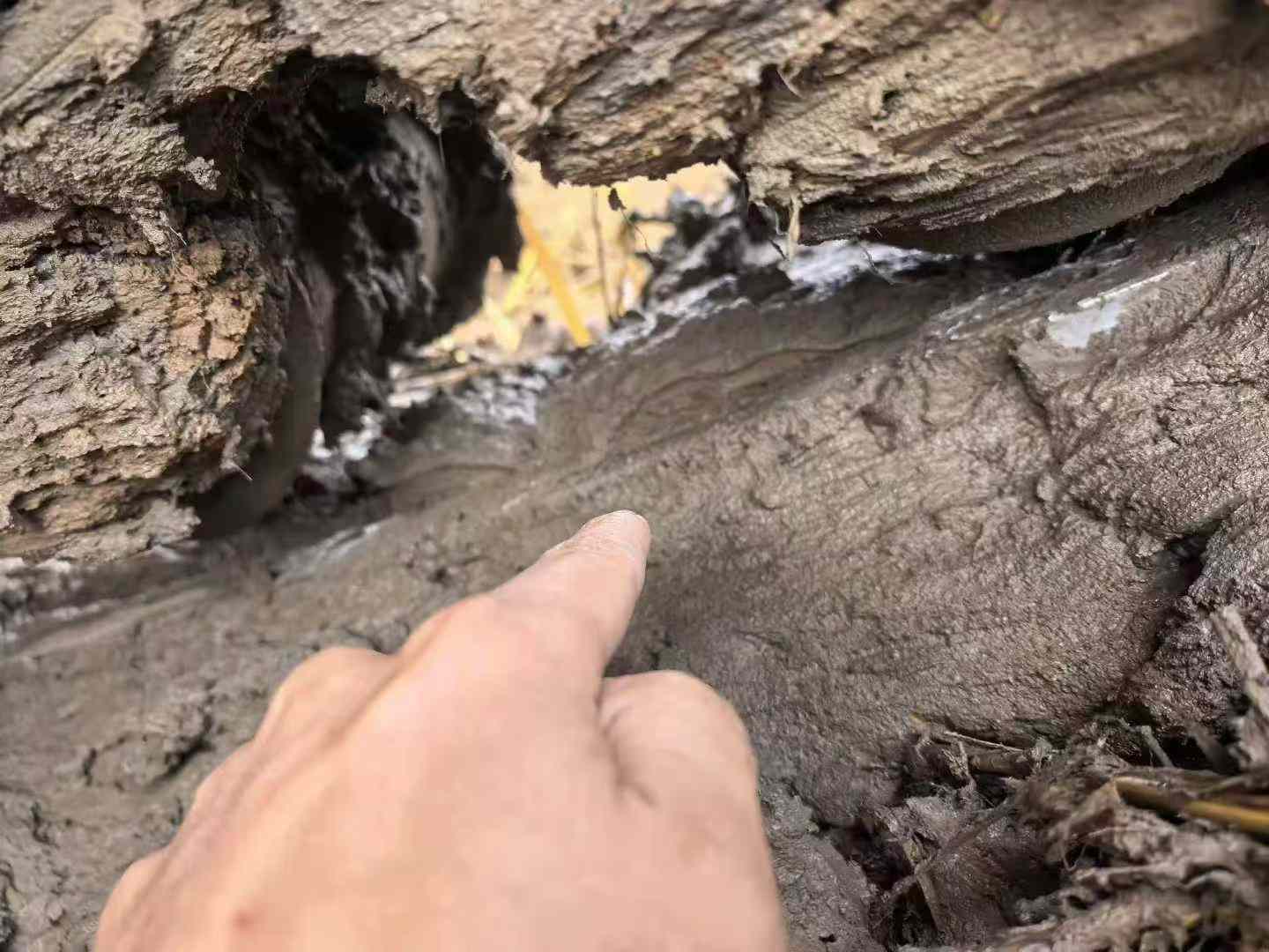 Used Caterpillar 312D Excavator 2011 Model / 9