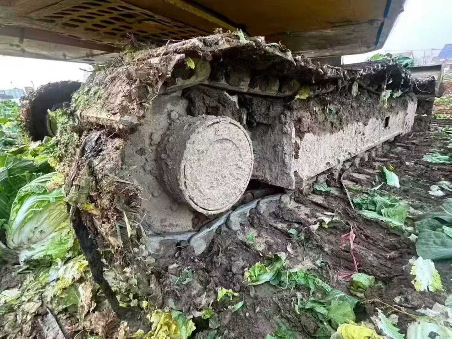 Used Kobelco SK210 Excavator 2016 Model / 6