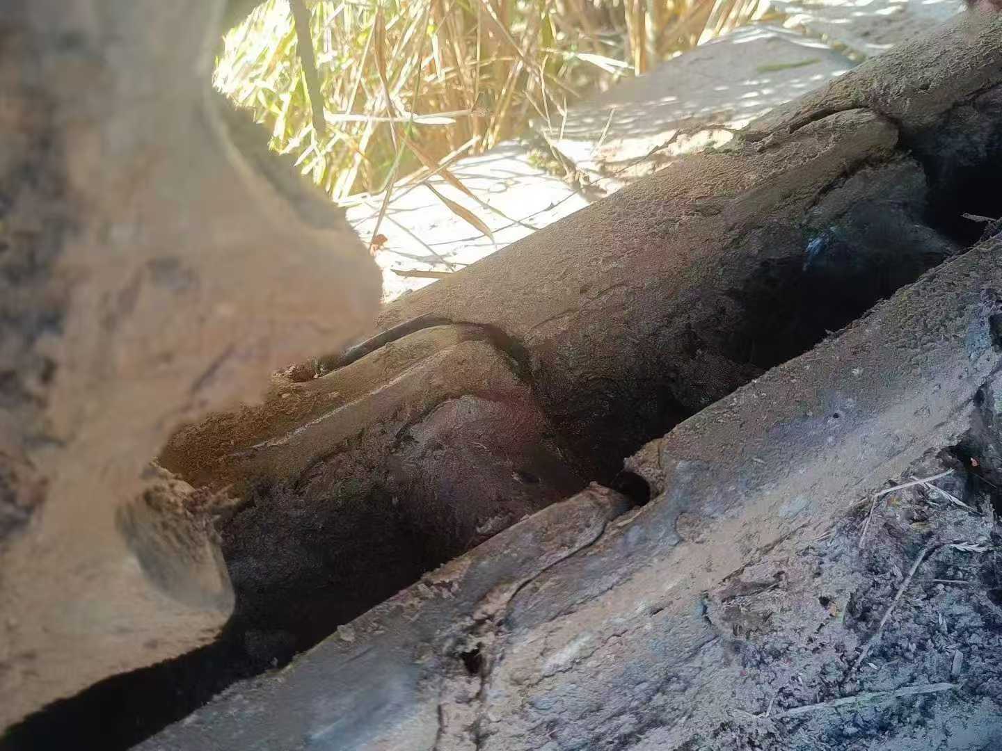 Used Doosan DL501 Excavator 2021 Model / 5