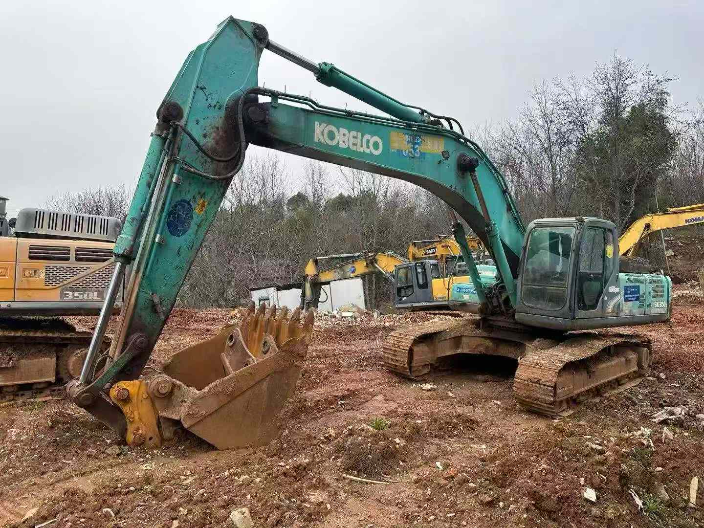 https://assets.gongji58.com/circle/2026-03-29/cxn75rc14h1774736467.png?watermark/1/image/a29kbzovL2dqZ2ovd2F0ZXJtYXJrL3dqLnBuZw/gravity/South/dx/0/dy/200/wst/2/ws/1|imageView2/0/w/1024/interlace/1