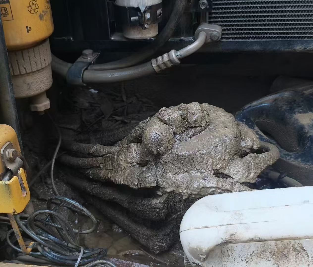 51挖机