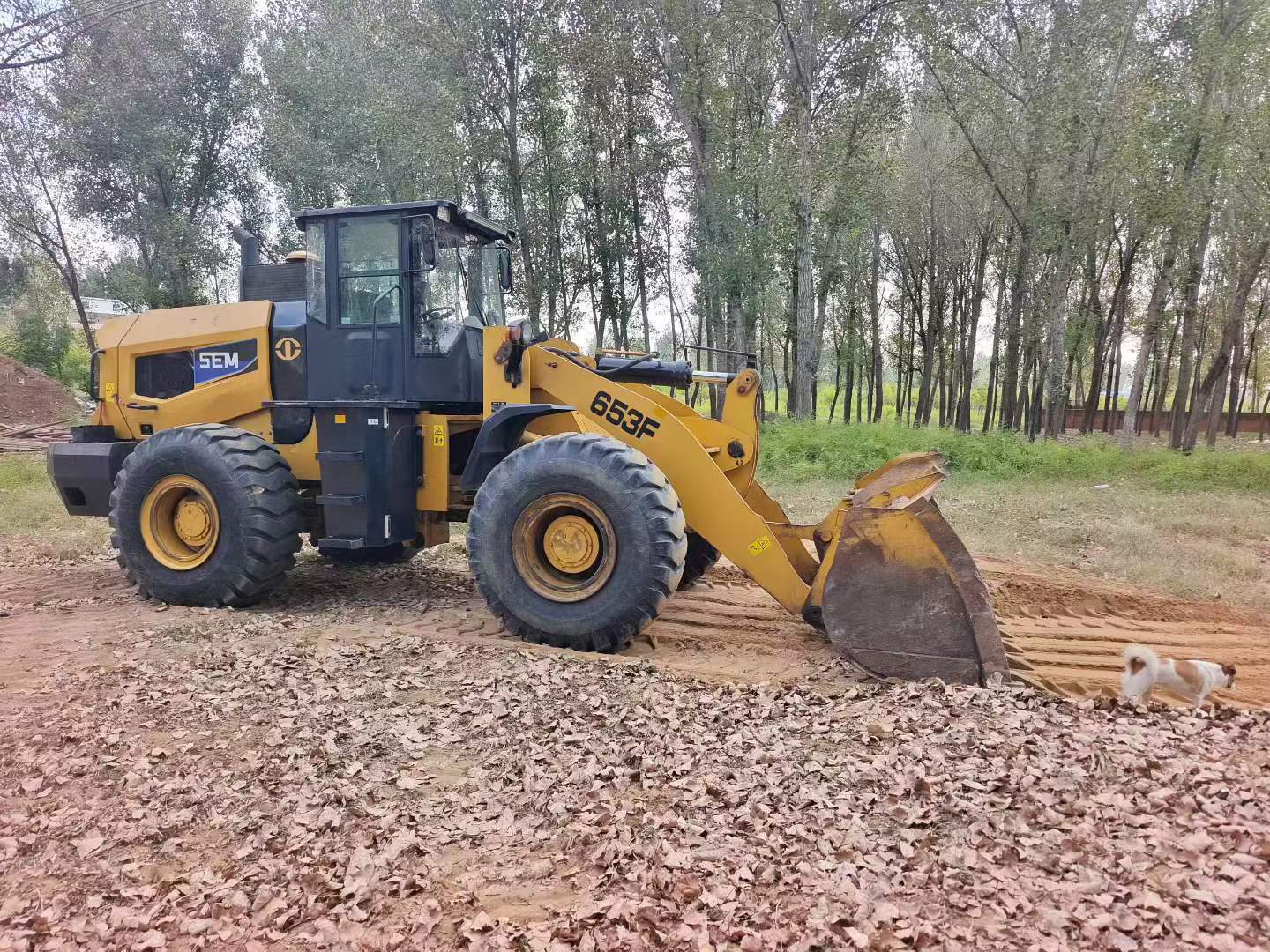 51挖机